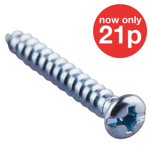 4mm X 30mm   Self Tapping Screw (22pc)