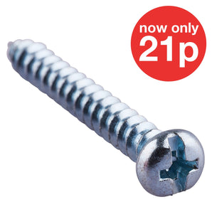 5mm X 38 Mm  Self Tapping Screw (10pc)